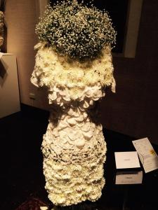 11137119_10206081546295064_7597361640328553462_n